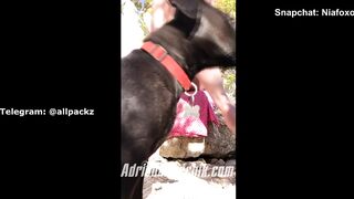 Adriana Chechik onlyfans porn movs leaks pack part 2