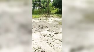 onlyfans leaked onlyfanssex streams pack part 1