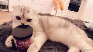 Honey Gold exclusive onlyfans porn movies mega pack part 9