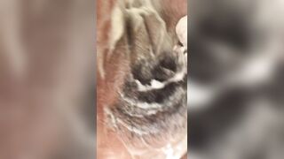 aaliyah4bbc onlyfans great sex shows 5