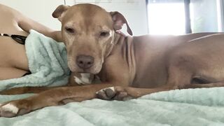 Onlyfans hot itskristinachai nude movies leaks mega pack 4
