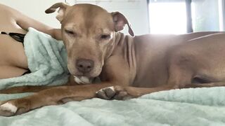 Onlyfans hot itskristinachai nude movies leaks mega pack 4
