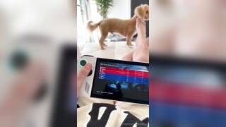 Exciting onlyfans utahjaz nude movs mega pack part 1