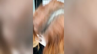 Amouranth fresh onlyfans xxx show pack part 2