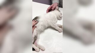 Leaked Oksi Roxi onlyfanssex movie pack part 3
