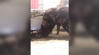 Ashley bombshell excellent onlyfans sex video pack part 3
