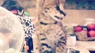 Leaked Sexi Barbie xxx broadcast part 5
