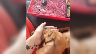 Bree Louise fresh onlyfans porn mov leaks pack part 2
